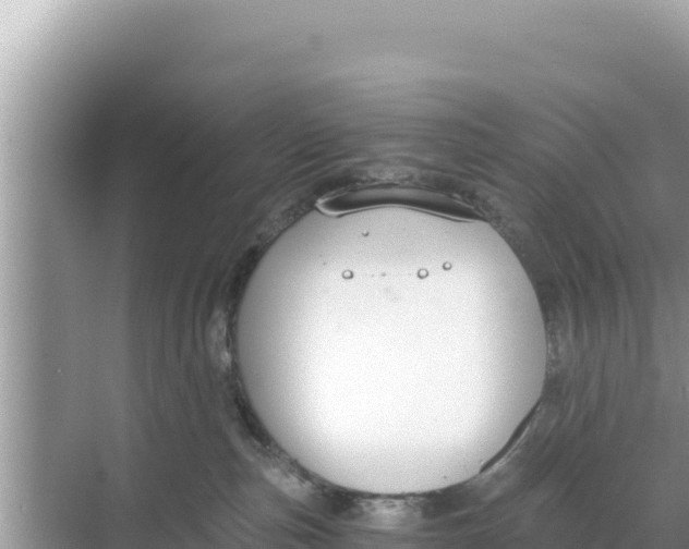 X0000068260187200605051758