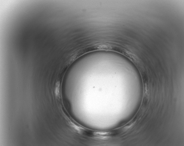 X0000068260189200605051758