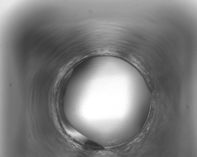 X0000068260193200605051758