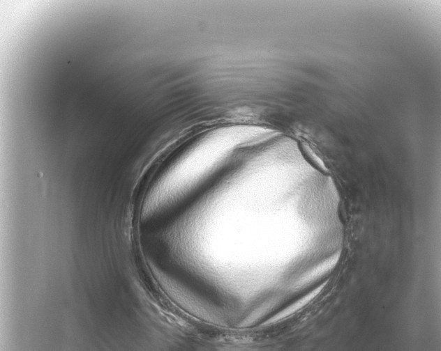 X0000068260194200605051758