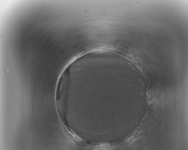 X0000068260196200605051758