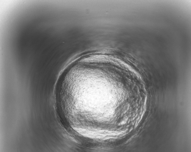 X0000068260198200605051758