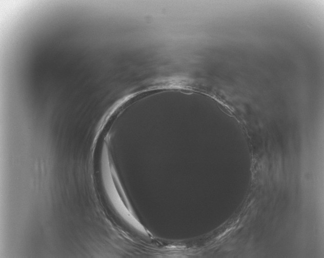 X0000068260200200605051758