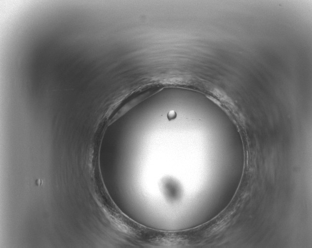 X0000068260201200605051758