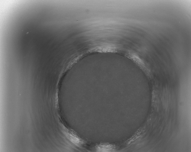 X0000068260202200605051758