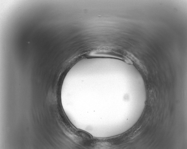 X0000068260203200605051758