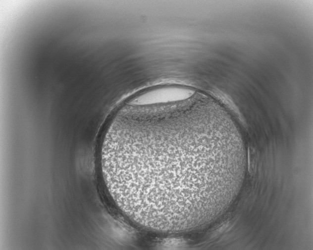 X0000068260204200605051758