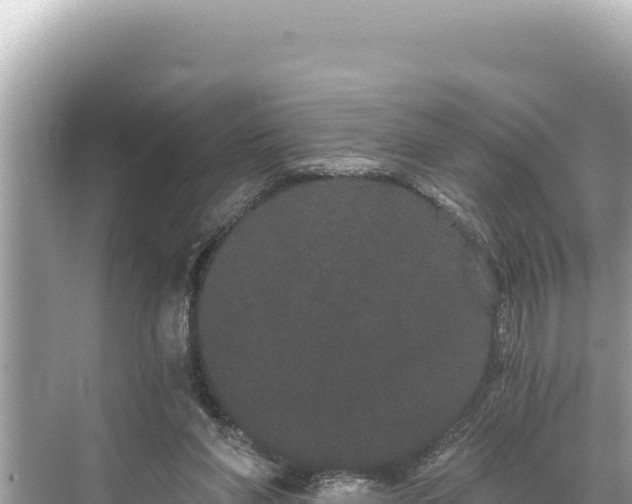 X0000068260206200605051758