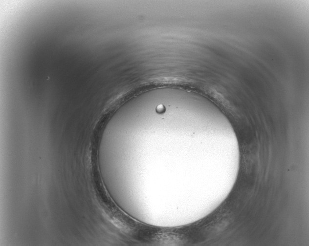 X0000068260207200605051757