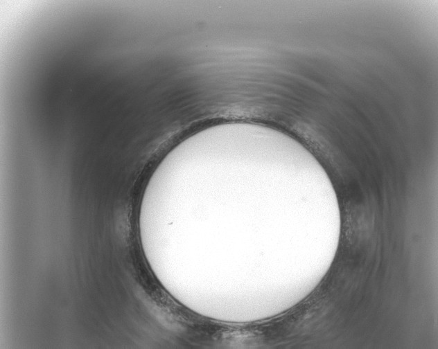 X0000068260208200605051757