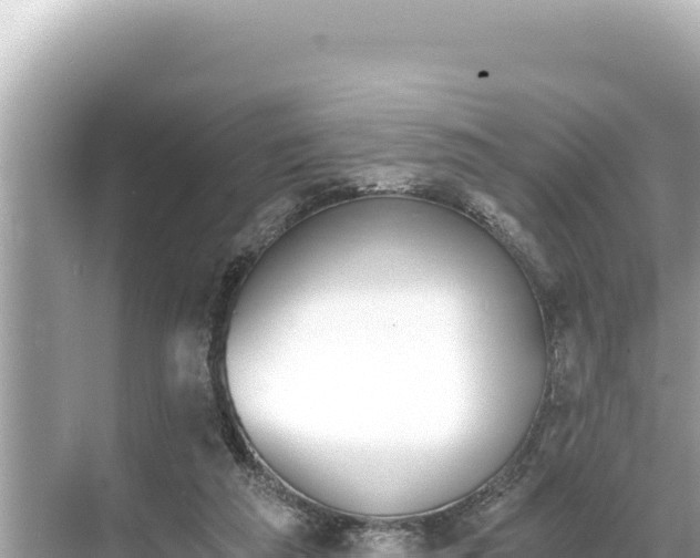 X0000068260209200605051757