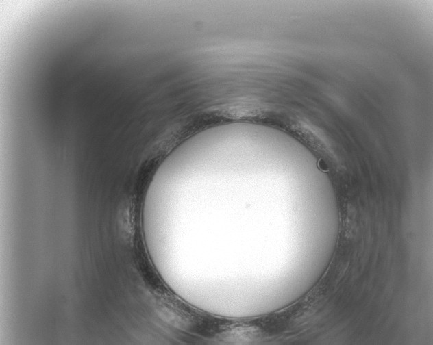 X0000068260210200605051757