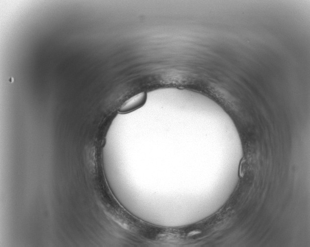 X0000068260211200605051757