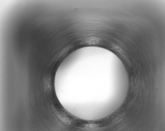 X0000068260212200605051757