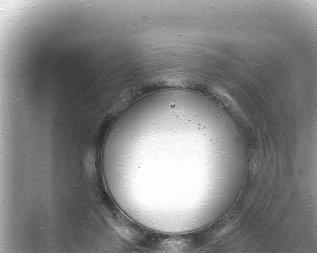 X0000068260213200605051757