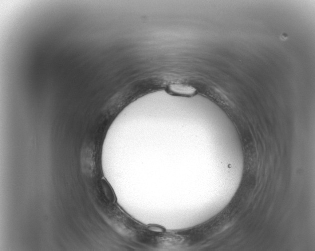 X0000068260215200605051757