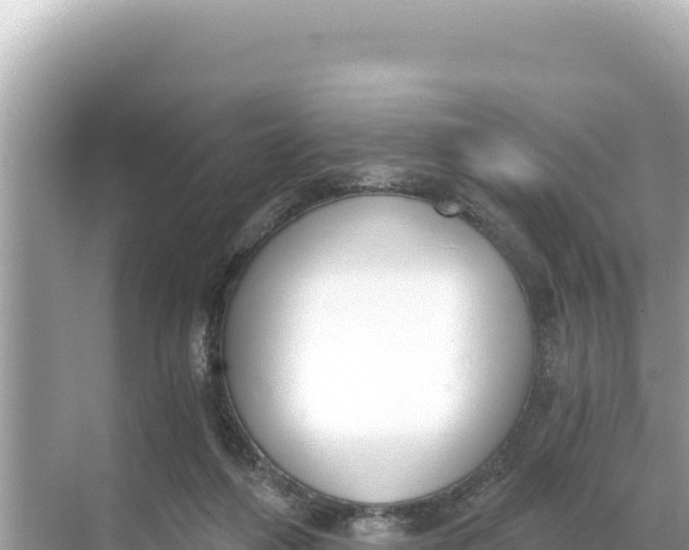 X0000068260216200605051757