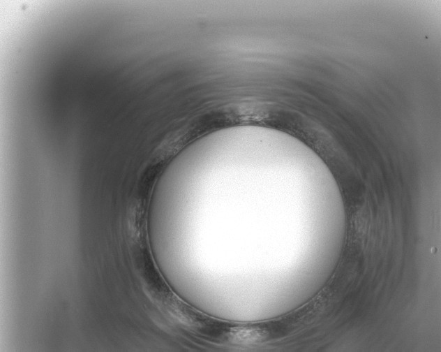 X0000068260218200605051757