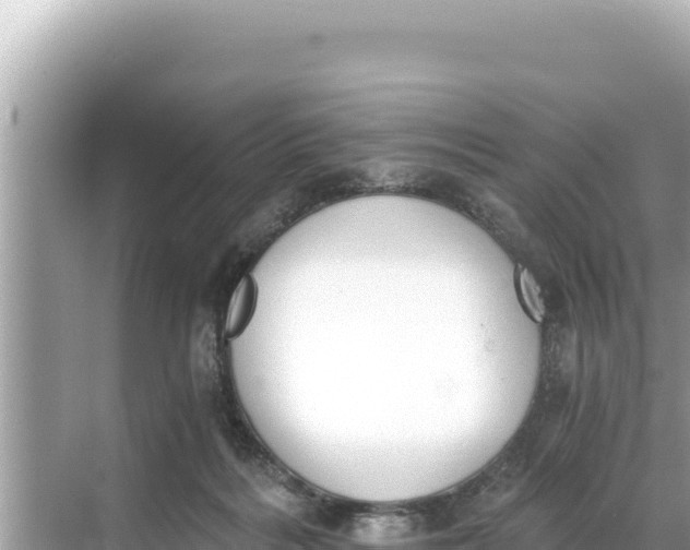 X0000068260220200605051757