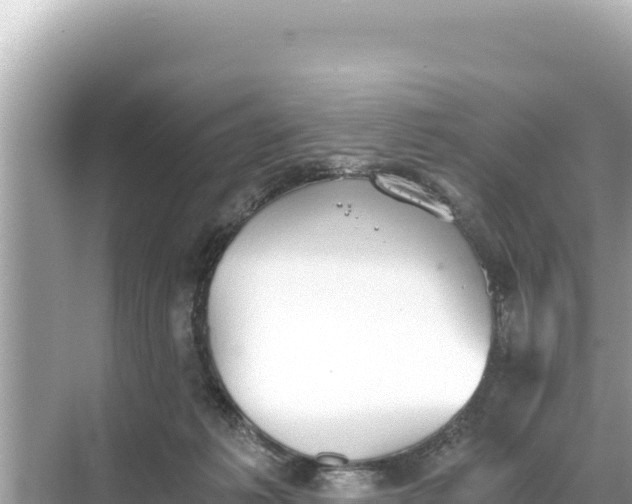 X0000068260221200605051757