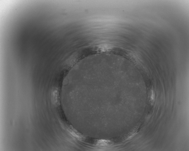 X0000068260222200605051757