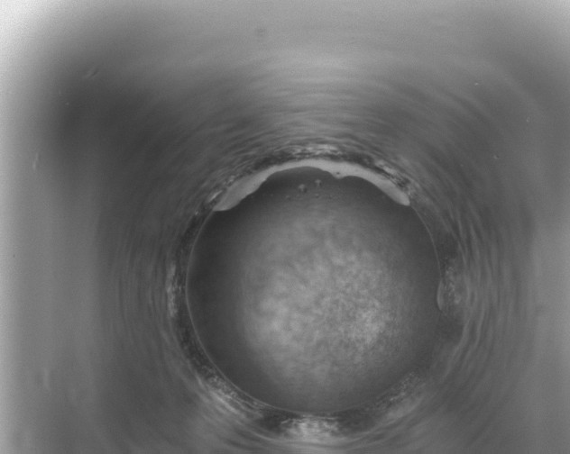 X0000068260223200605051757