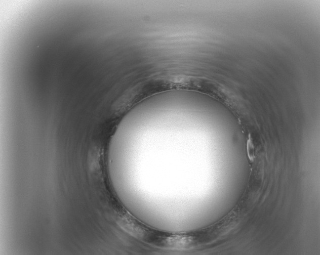 X0000068260225200605051757