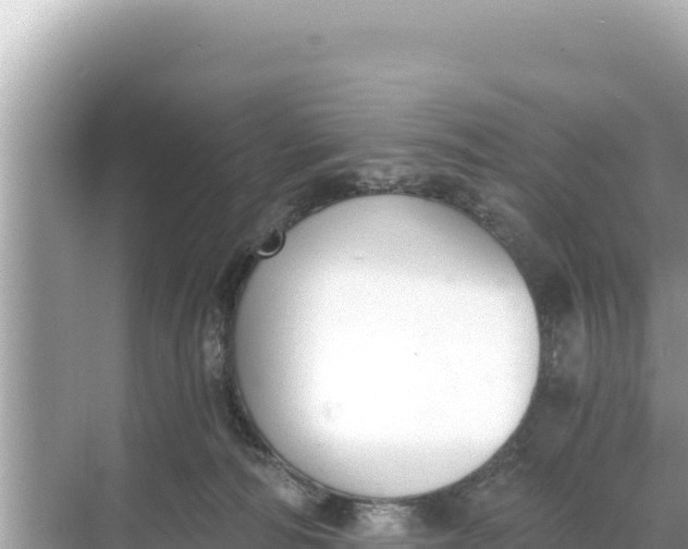 X0000068260226200605051757