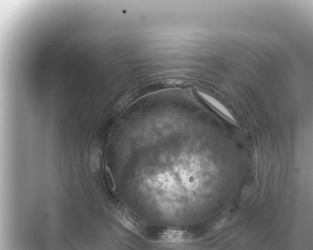 X0000068260227200605051757