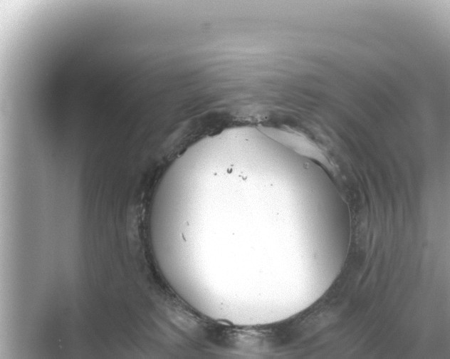 X0000068260229200605051757