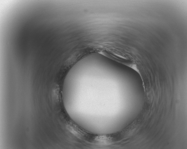 X0000068260231200605051757