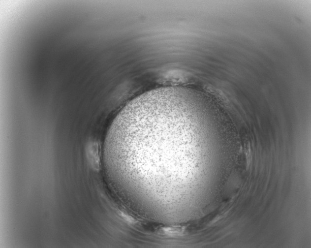 X0000068260232200605051757