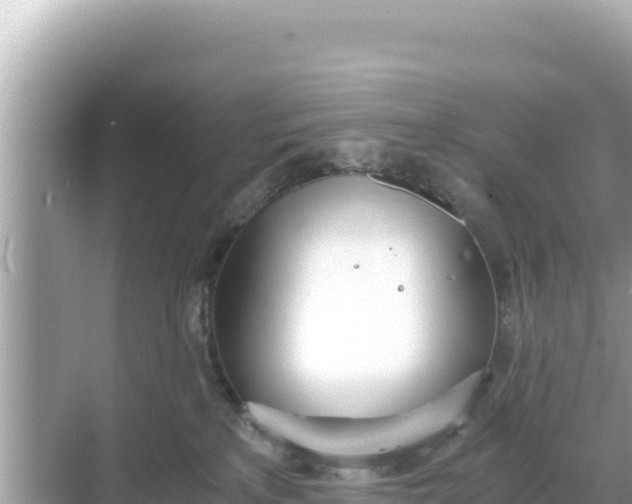 X0000068260233200605051757