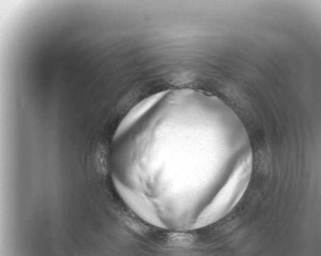 X0000068260234200605051757