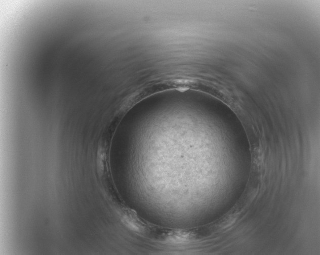 X0000068260235200605051757