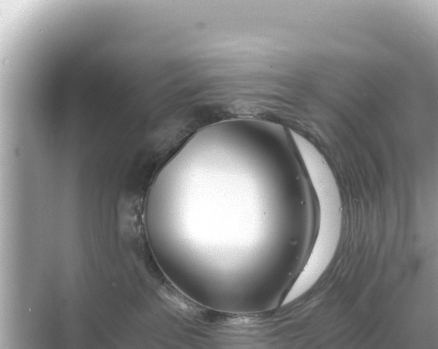 X0000068260237200605051757