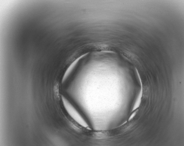 X0000068260238200605051757