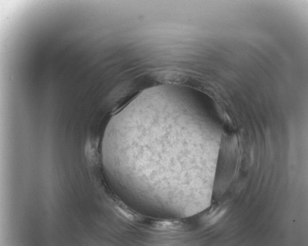 X0000068260239200605051757