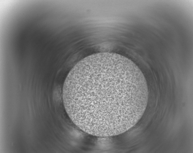 X0000068260240200605051757