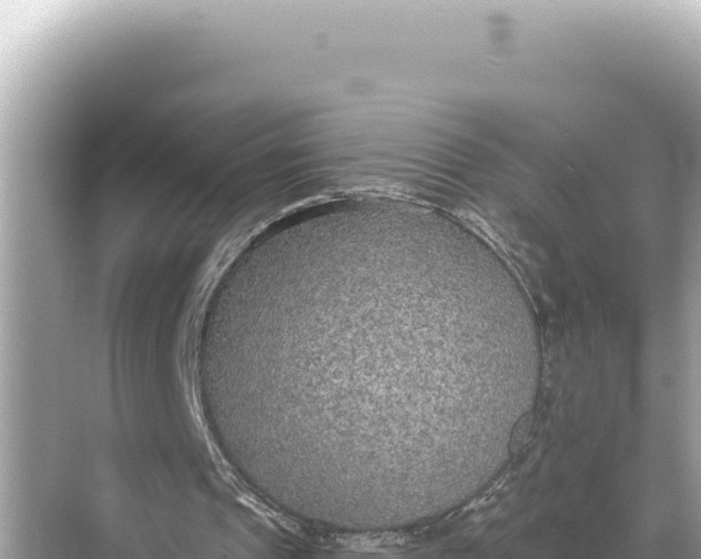 X0000068260241200605051756