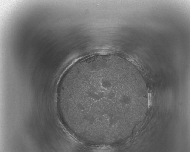 X0000068260243200605051756