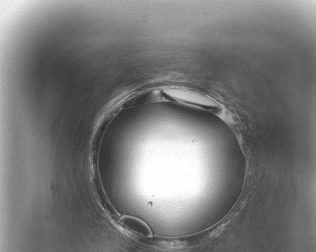 X0000068260245200605051756