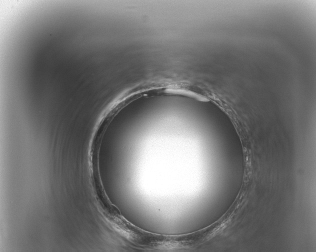 X0000068260246200605051756