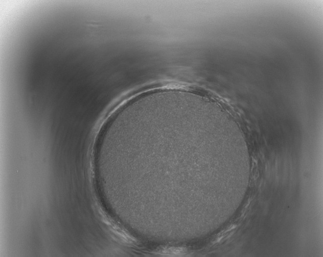 X0000068260247200605051756