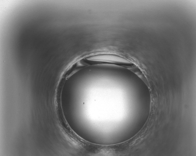 X0000068260248200605051756