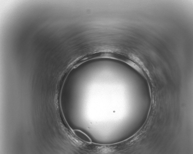 X0000068260249200605051756