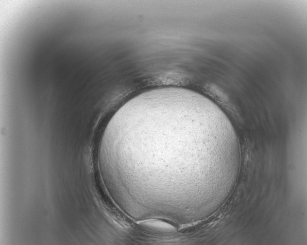 X0000068260250200605051756