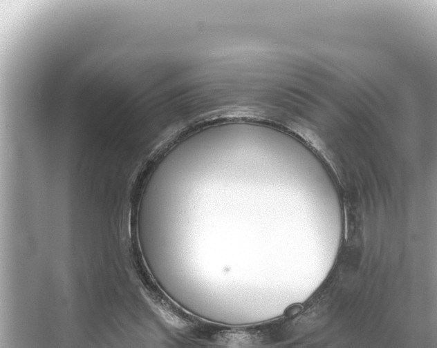 X0000068260253200605051756