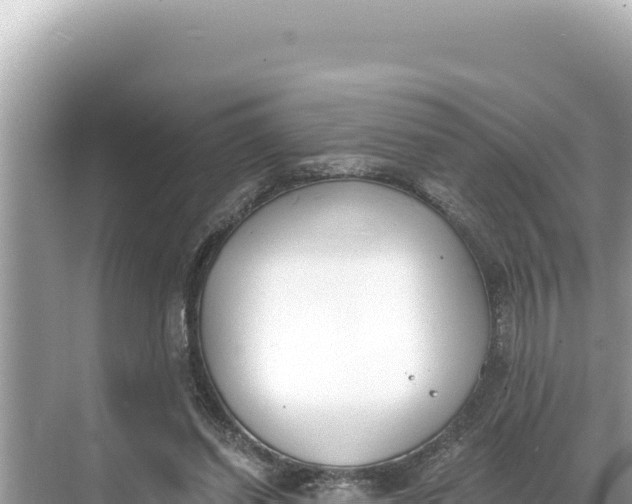 X0000068260254200605051756