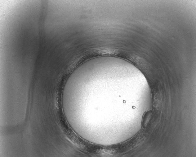 X0000068260255200605051756